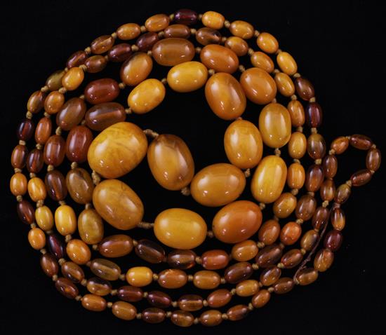 A long single strand graduated oval amber bead necklace, 70in.